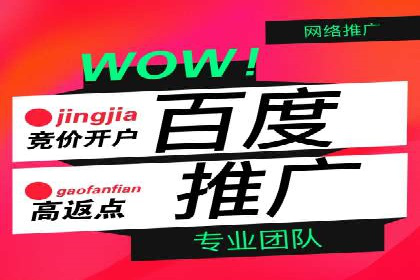 SEM代理助力企业：成功案例分析